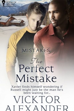 The Perfect Mistake (14224)