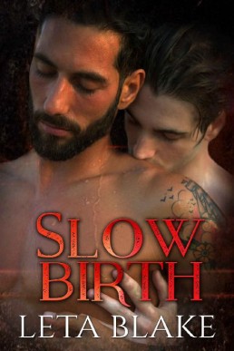 Slow Birth (Heat of Love 1)