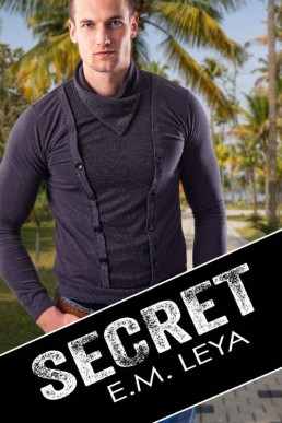 Secret (Save The Kids Book 2) (4508)