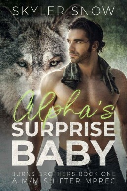 Alpha's Surprise Baby (Burns Brothers #1) (14515)