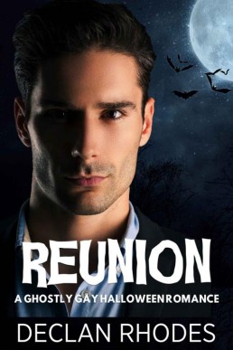 Reunion: A Ghostly Gay Halloween Romance