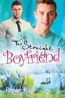 The Straight Boyfriend (Loving You (13944)