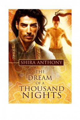 Dream of a Thousand Nights (14173)