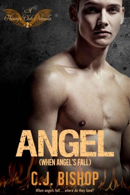 ANGEL 2: When Angels Fall (Phoenix Club #8) (890)