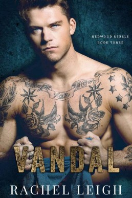 Vandal_ An MM Bully Romance (Redwo (11592)