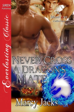 Never Cross a Dragon's Mate (10695)