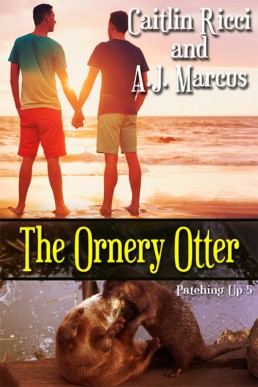 The Ornery Otter (Patching Up  5) (969)