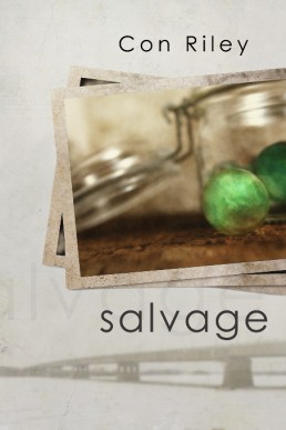 Salvage (3578)