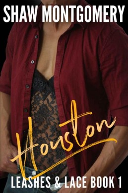 Houston (Leashes & Lace Book 1) (12694)