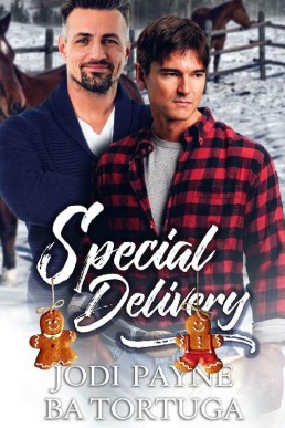 Special Delivery (Wrecked #2)