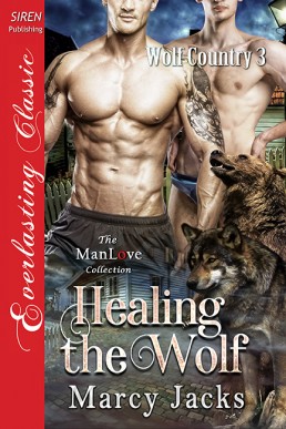 Healing the Wolf (10851)