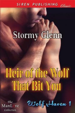 Stormy Glenn - Wolf Haven 01 - Hei (12535)