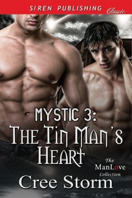 The Tin Man's Heart (MYSTIC Book 3)