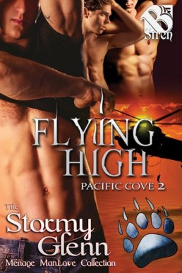 Flying High [Pacific Cove 2] (Sire (12462)