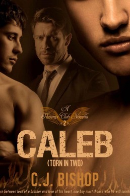 Caleb 2: Torn in Two (Phoenix Club #5) (893)