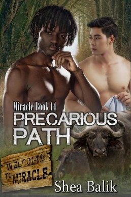 Precarious Path (Miracle, #14) (13716)