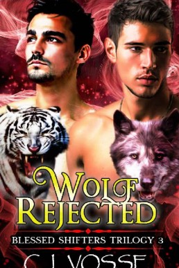 Wolf Rejected_ Blessed Shifters Tri (1171)