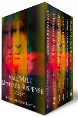 Male/Male Mystery and Suspense Box Set: 6 Novellas