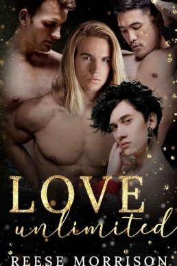 Love Unlimited (Love Language Book 4)