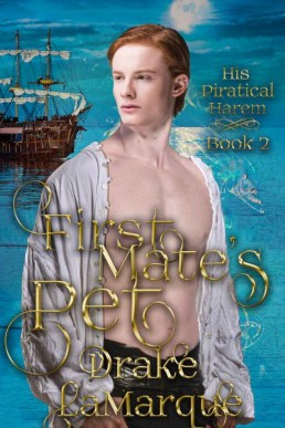 First Mate's Pet (His Piratical Harem Book 2)