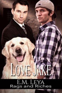 Love Jake (Rags and Riches Book 2) (4503)