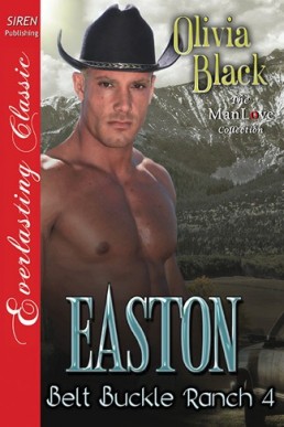 Easton [Belt Buckle Ranch 4] (Sire (14967)