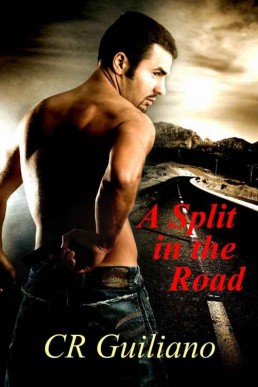 A Split in the Road (Vampire Wars Book 3)