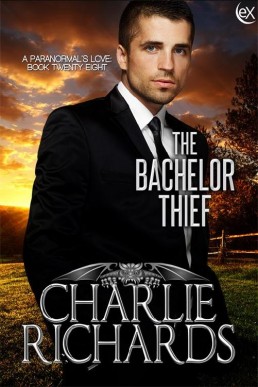 The Bachelor Thief (2810)