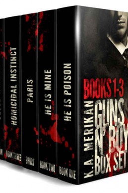 Guns n' Boys Box Set (Books 1-3)