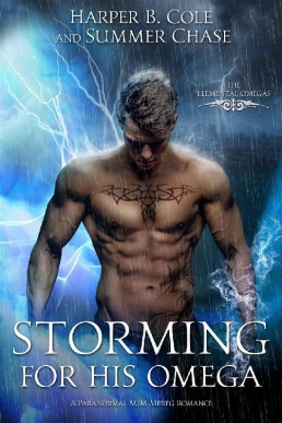 Storming for His Omega (Elemental Omegas 2) (8633)