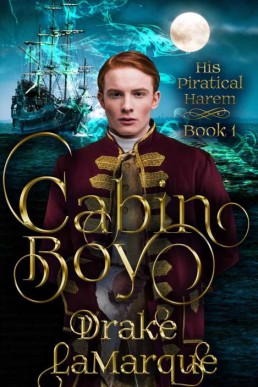 Cabin Boy (His Piratical Harem Book 1)