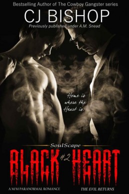 Black Heart (Soulscape Book 2) (4898)