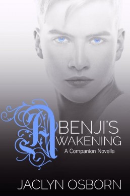 Benji's Awakening (An Awakening Com (6324)