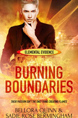 Burning Boundaries (Elemental Evidence 2) (2488)