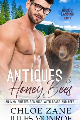 Antiques and Honey Bees (Buck's Landing 2) (7698)