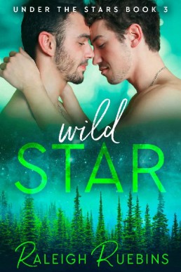 Wild Star_ Under the Stars Book 3 (13187)