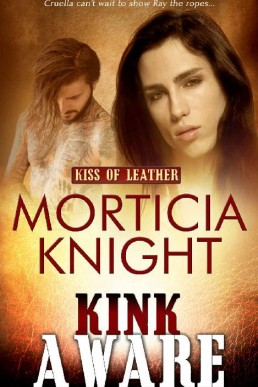 Kink Aware (Kiss of Leather Book 9 (13977)