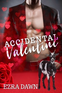 Accidental Valentine (1193)