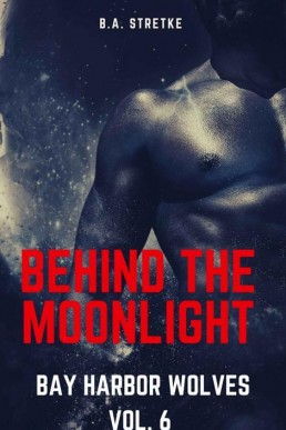 Behind The Moonlight (Bay Harbor Wolves 6)