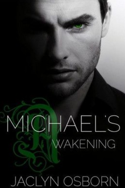 Michael's Awakening (6320)