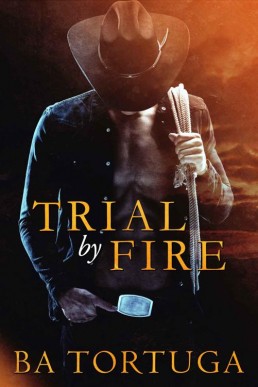 Trial by Fire (BA's Cozy Cowboys 1)