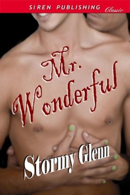 Mr. Wonderful [Sweet Perfection 2] (12497)