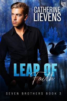 Leap of Faith (Seven Brothers #3)