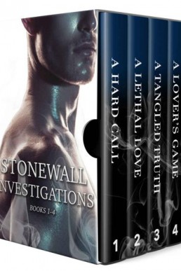 The Stonewall Investigation Series (13449)