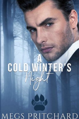 A Cold Winter's Night (Salutem Book 3)