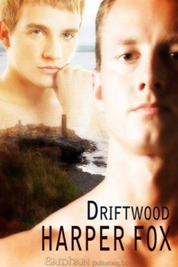 Driftwood (5595)