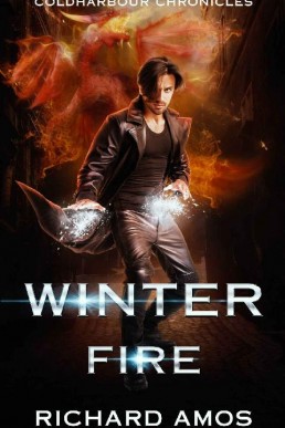 Winter Fire_ an Urban Fantasy Nove (12345)