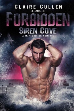 Forbidden (Siren Cove Book 1) (2990)