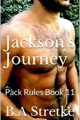 Jackson's Journey (Pack Rules 11)