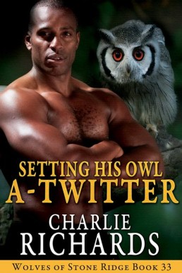 Setting His Owl A-Twitter (Wolves of Stone Ridge 33)